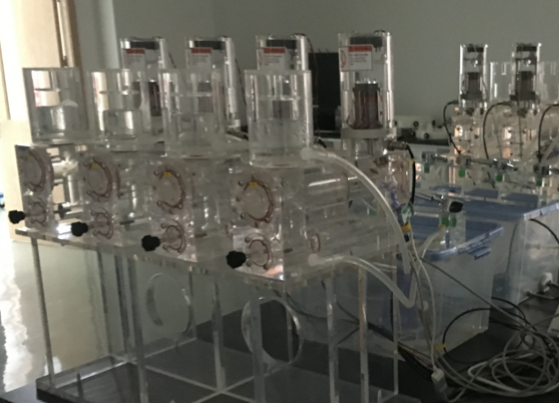 人工心臟瓣膜耐疲勞性能測試機
